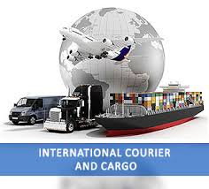 Cold Chain Logistics